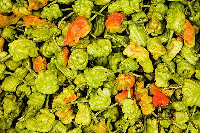 《碧蓝幻想》正式公开联动角色哆啦A梦 活动12月8日上线